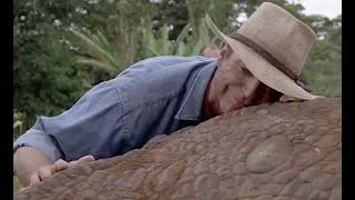 Jurassic Park (1993) - 'Ailing Triceratops' scene [1080]