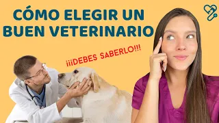 CÓMO ELEGIR UN BUEN VETERINARIO - Lauvet