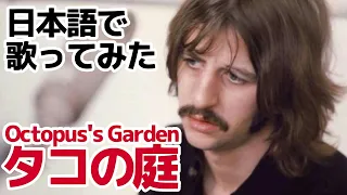 【ビートルズ】タコの庭（Octopus's Garden）【日本語で歌ってみた】