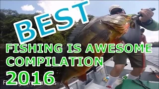 Best of Fishing Is Awesome Compilation 2016