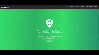 TurtleCoin Analysis and Overview
