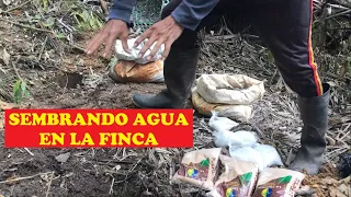 Sembrando Agua en la finca - como sembrar agua