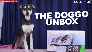 My Dog unboxed my GPU | Colourful RTX 3060 Unboxing | AnkkitaC