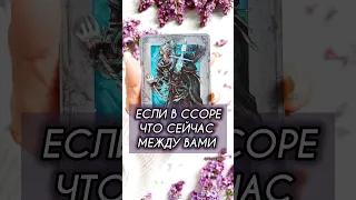 ЕСЛИ В ССОРЕ. ЧТО СЕЙЧАС МЕЖДУ ВАМИ 🍃 #алиятаро #таро #цой  #youtubeshorts #shorts #reels