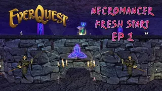 Project 1999 Green Server | Fresh Start Dark Elf Necromancer ep 1