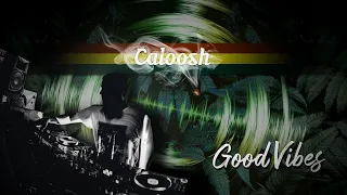 Caloosh - Good Vibes ( Jungle Dubwise Raggajungle dnb DJ mix 2020 )