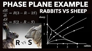 Phase Plane Analysis: Worked Example | Rabbits Vs. Sheep Species Competition, Population Biology
