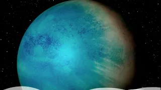 Scientists discover an 'ocean planet' where a year lasts 11 days