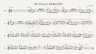 The Flowers of Red Hill (Hills of Clogher) (Clogher Reel)