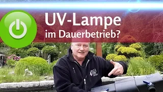 Muss die UV-Lampe immer laufen? Schwebealgen im Teich kontrolliert bekämpfen