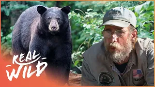Bears And Humans Can Co-Exist Thanks To Wrangler Steve | The Bear Whisperer | Real Wild