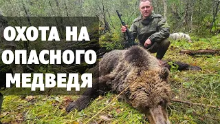 🐻 ОПАСНЫЙ МЕДВЕДЬ. Первая ПОТЕРЯ В ЭТОМ СЕЗОНЕ. Охота на медведя 2023