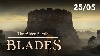 Découverte The Elder Scrolls: Blades (Switch Edition)