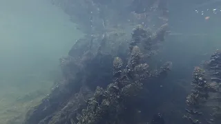 Oasis of the underwater world in the Crimean steppe - Оазис подводного мира в степи Крыма