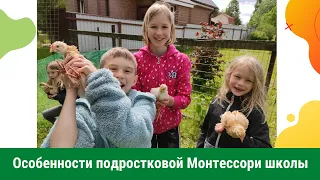 Особенности подростковой Монтессори школы