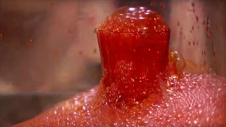 Blood Boiling! Death In Space | Dara O' Briain's Science Club | Earth Science