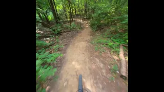 Insta360 go 2 MTB test