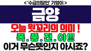 금양 주가전망] 오늘 윗꼬리의 의미 ! 폭 . 풍 . 전 . 야 !!! 이거 무슨뜻인지 아시죠? feat. '수급의달인' 기영이 박순혁 서정덕TV 김작가 TV 이엔플러스