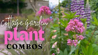 Cottage Garden Planting Combinations | Perennial Garden