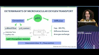 Microcirculation  in septic shock Vanina Edul 2022