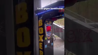 Lucio Abi gegen boxautomat #funny #lucio101 #shorts #zaha