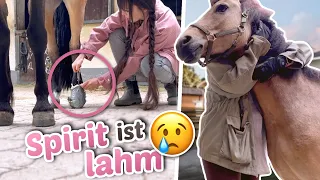 Schlechte Nachrichten 😢 Little Spirit ist verletzt | ViktoriaSarina