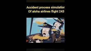 Accident process simulator of aloha airlines flight 243