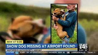 Show dog missing at airport found
