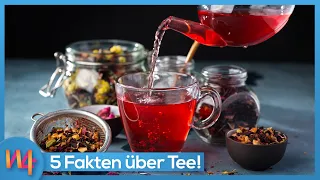 Tee: 5 Fakten über das Heißgetränk ☕🍵 | Wissen4Free