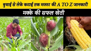 मक्का की खेती मे बंपर उत्पादन के लिये ये Successful फॉर्मुला  | A to Z Corn Farming | #indianfarmer