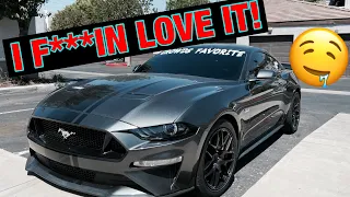 2019 Mustang GT First DRIVE Impressions!🤭‼️ #Ford #mustanggt #2019mustang #mustang #mustwatch #sub