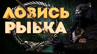 ПОЛНЫЙ ГАЙД ПО РЫБАЛКЕ Elder Scrolls Online (2022)