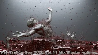 Psy Trance Goa 2020 Vol 11 Mix Master volume
