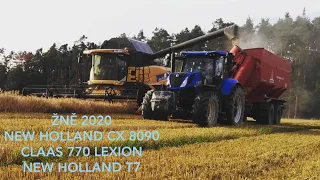 Sečení ozimého ječmene, žně 2020 ,New holland T7 a NH CX 8090, CLAAS 770 LEXION, JZD Dynín