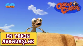 Oscar Çöllerde 🦎 | En Yakın Arkadaşlar | Minika