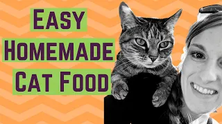 How to Make Homemade Raw Cat Food - The Recipe That Drastically IMPROVED MY CATS' HEALTH
