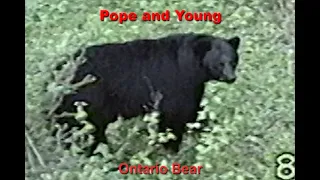 Canada Archery Bear Hunt: Pope and Young Record Bear