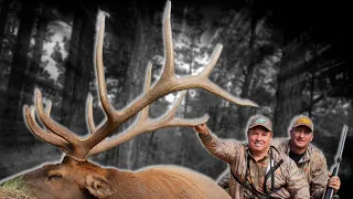 Colorado Giant at 45 Yards! Elk Hunting with Guy Eastman