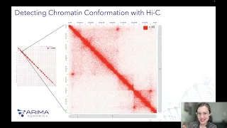 Bioinformatics for the 3D Genome: An Introduction to Analyzing and Interpreting Hi-C Data