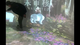 2019  World Horticultural Expo:Interactive projection wall