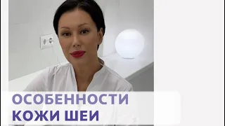 Особенности кожи шеи