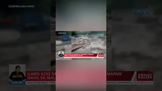 Ilang Ilog sa Makilala, North Cotabato, umapaw dahil sa malakas na ulan #shorts | Unang Balita