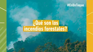 ¿Qué son los incendios forestales?