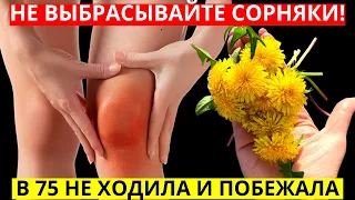 ЭТА РАСТИТЕЛЬНАЯ СМЕСЬ ВЫТЯНЕТ ВСЮ боль из колен и суставов!ОДУВАНЧИК + лавровый...