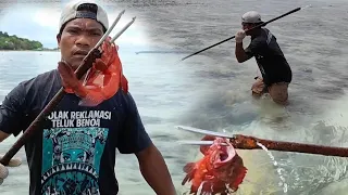 Sniper Jitu..,! Hanya Bermodalkan Tombak, Ikan-ikan Berkelas Berhasil Didapat