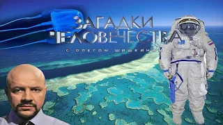 Загадки человечества с Олегом Шишкиным  "Морская оса"