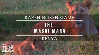 Unrivalled Wildlife Experiences & Conservation - Masai Mara & Karen Blixen Camp, Kenya | The Stay TV