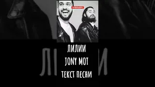 #mot #jony #RAAVAMUSIC текст песни лилии джони и мот