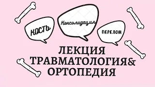 Лекция травматология и ортопедия 2: Кость,ПЕРЕЛОМ, консолидация.