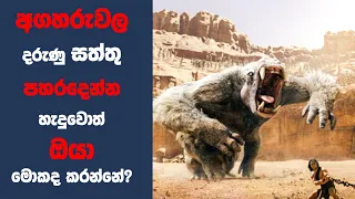 "ජෝන් කාටර්" චිත්‍රපටයේ කතාව සිංහලෙන් | Movie Explained Sinhala | Sinhala Movie Review